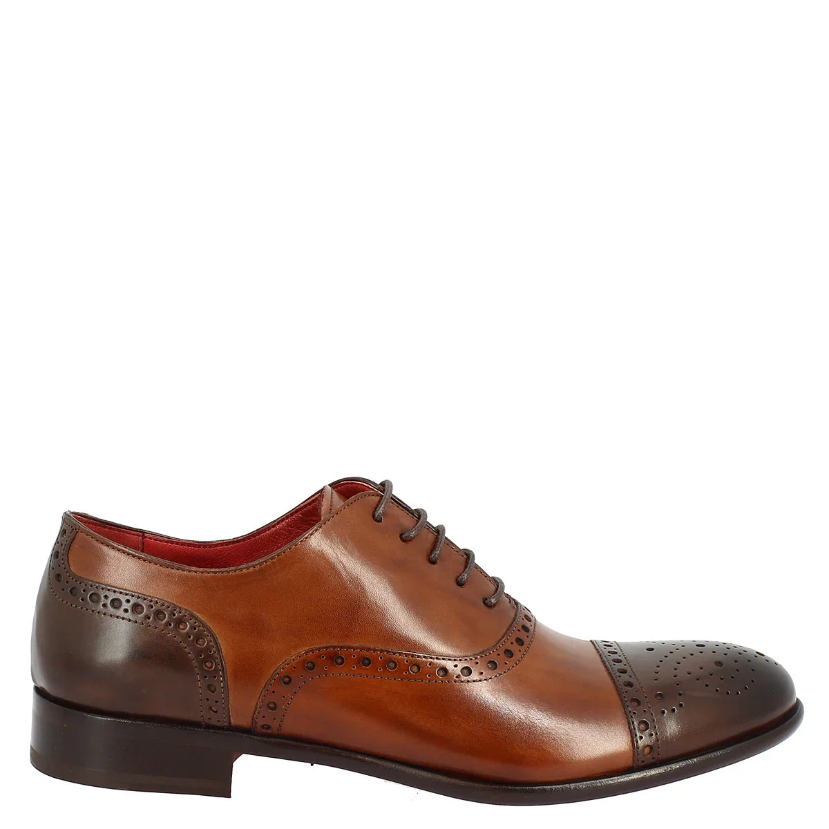 Dark Brown Brogues Shoes