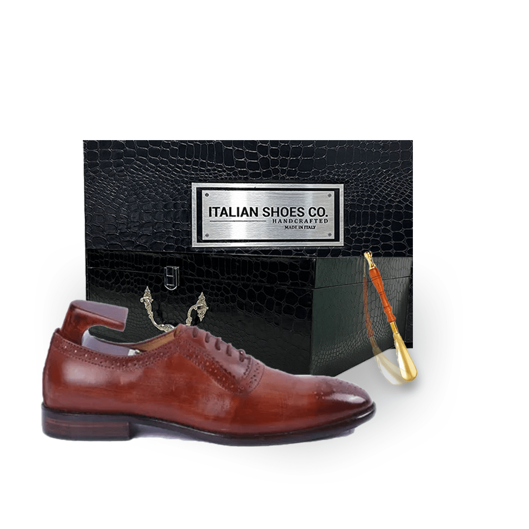 Wingtip Oxford Shiny Dark Brown Shoes