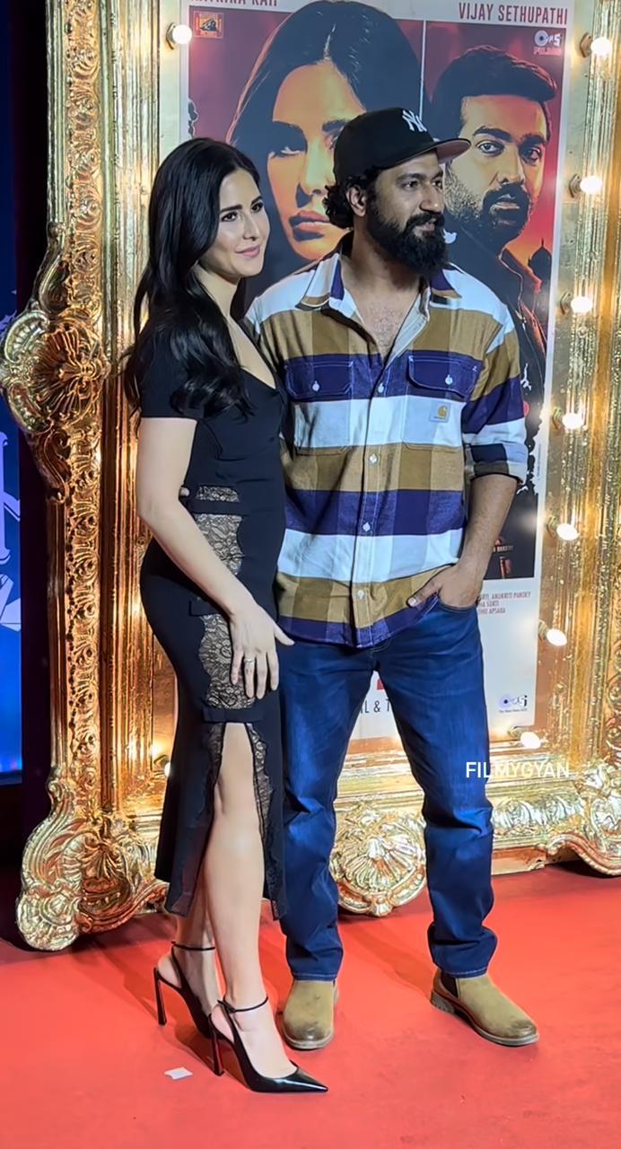 Classic Chelsea Suede Brown Ankle Boots